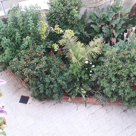 Bed And Breakfast Le Petunie Bari Sardo Exterior photo