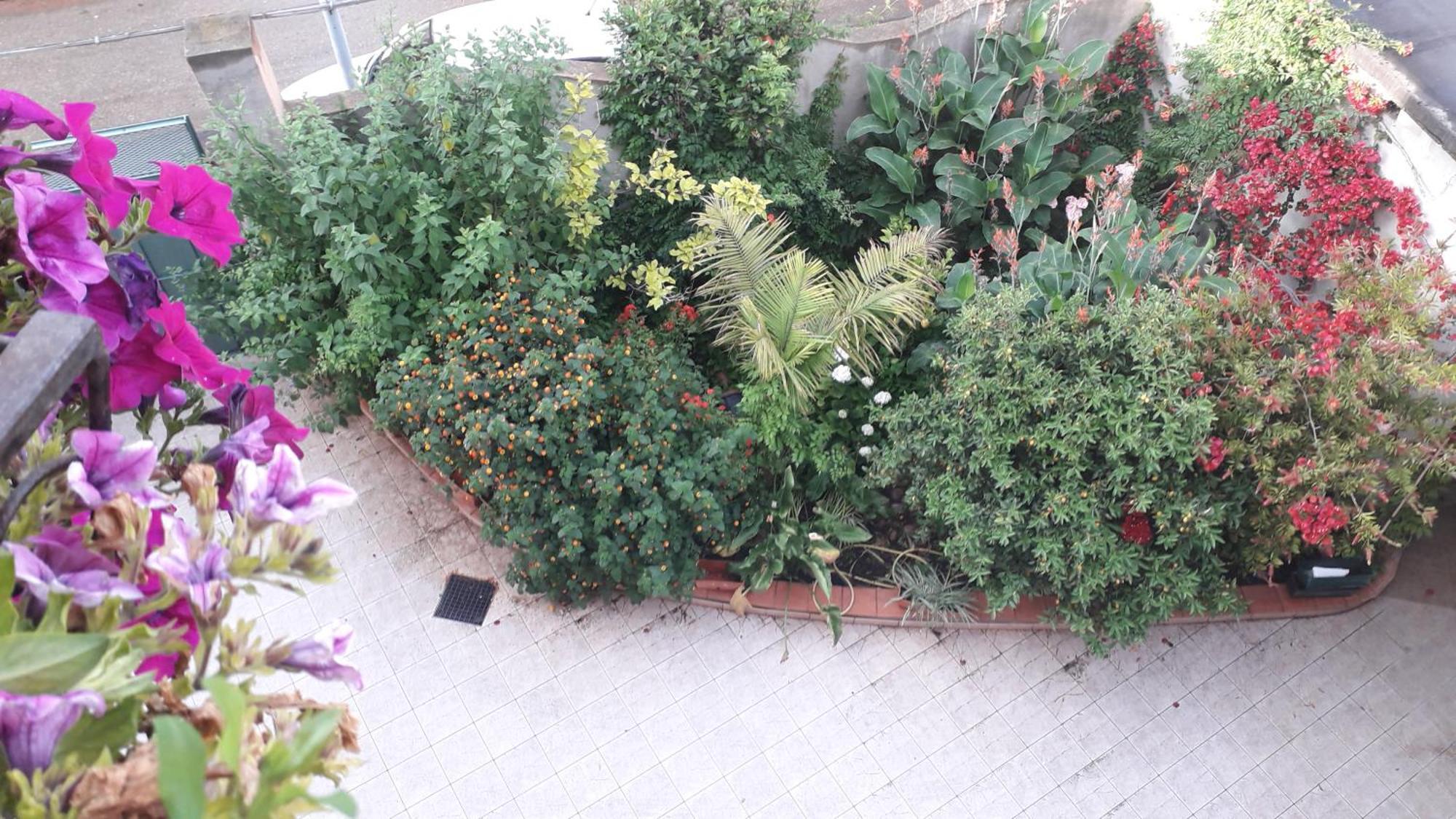 Bed And Breakfast Le Petunie Bari Sardo Exterior photo